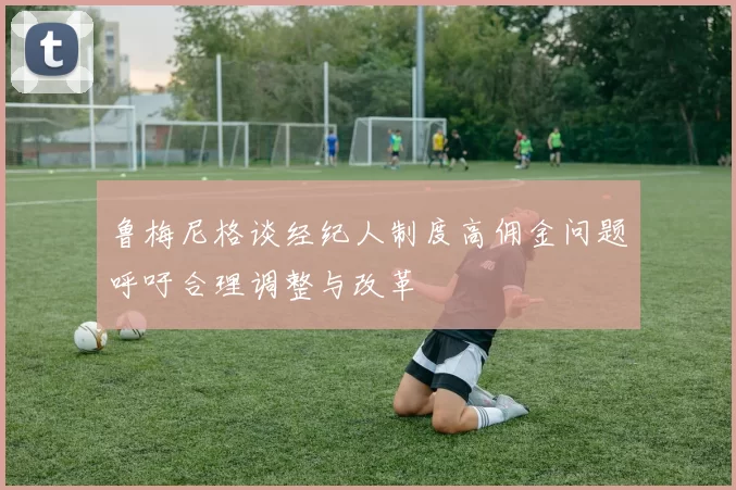 鲁梅尼格谈经纪人制度高佣金问题呼吁合理调整与改革