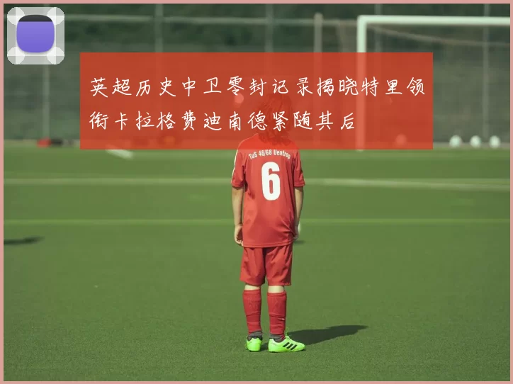 英超历史中卫零封记录揭晓特里领衔卡拉格费迪南德紧随其后
